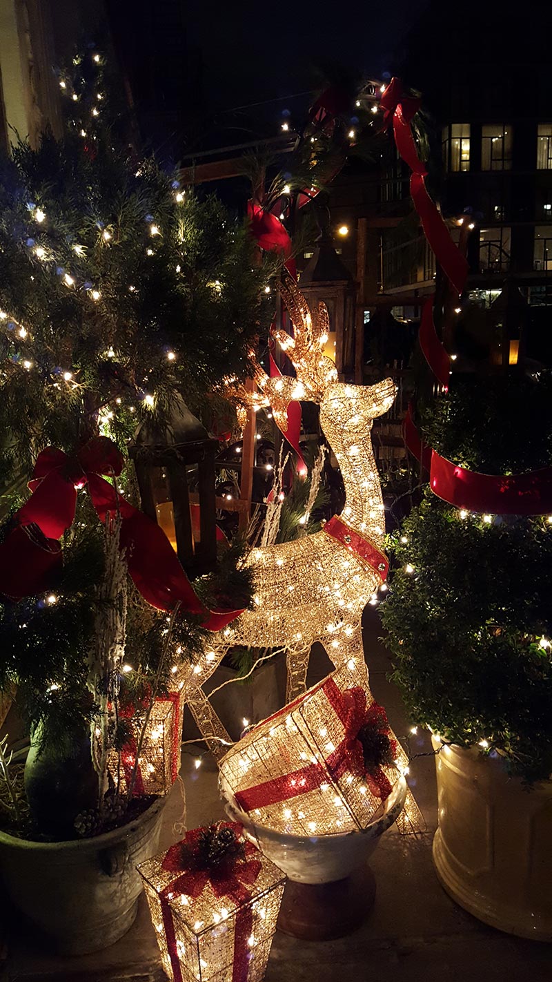 image of christmas decor at restaurant - by Anastasios Interiors